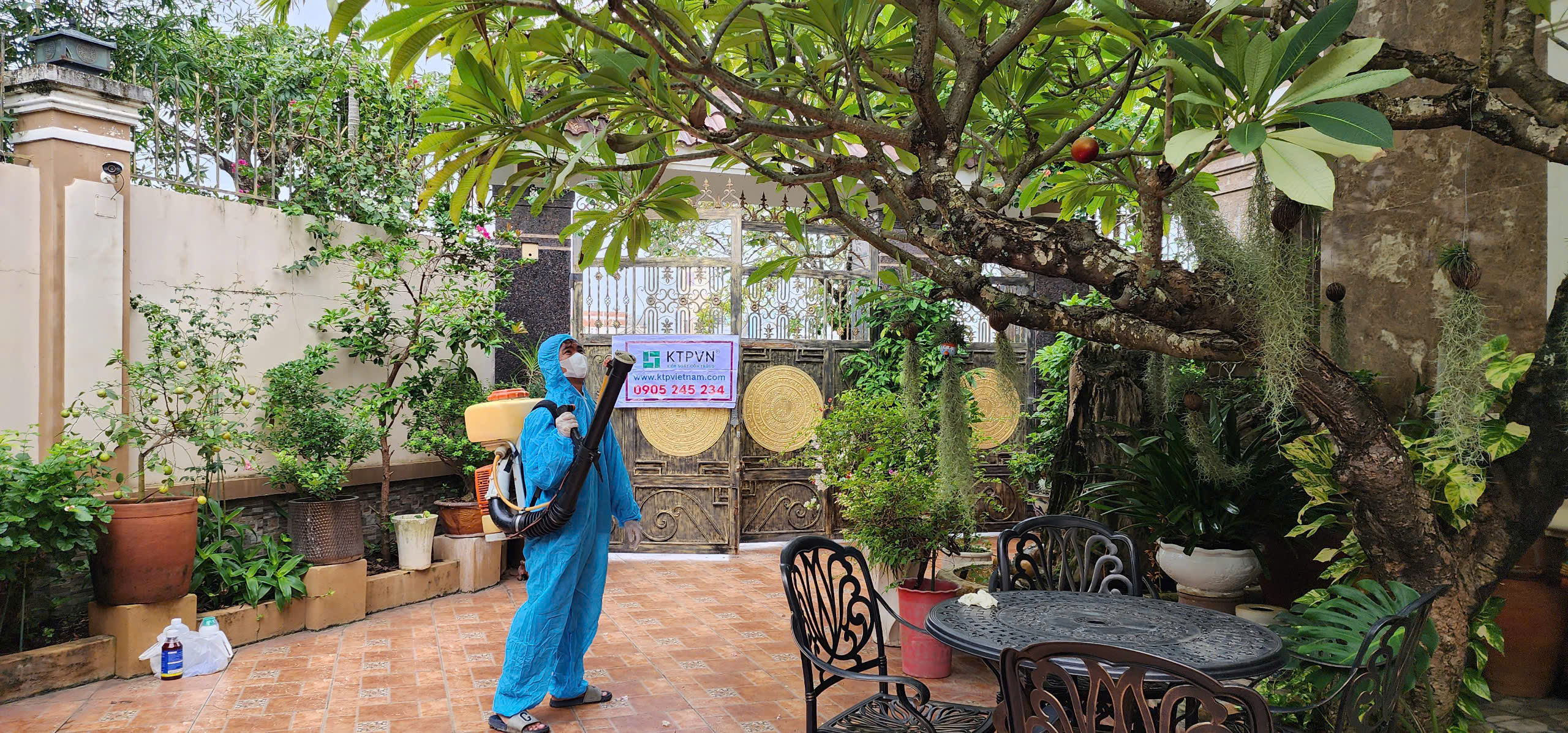 Dịch vụ phun côn trùng