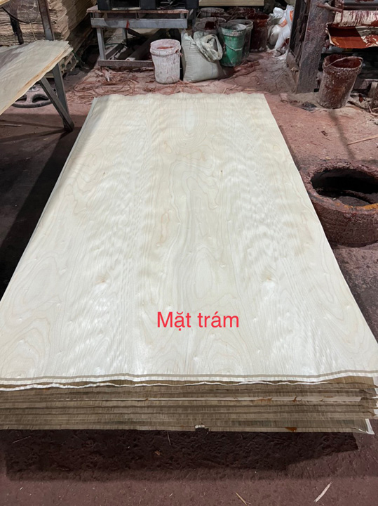 Ván ép mặt Trám - Ván ép Hoàng Châu - Công Ty Cổ Phần Hoàng Châu Plywood International