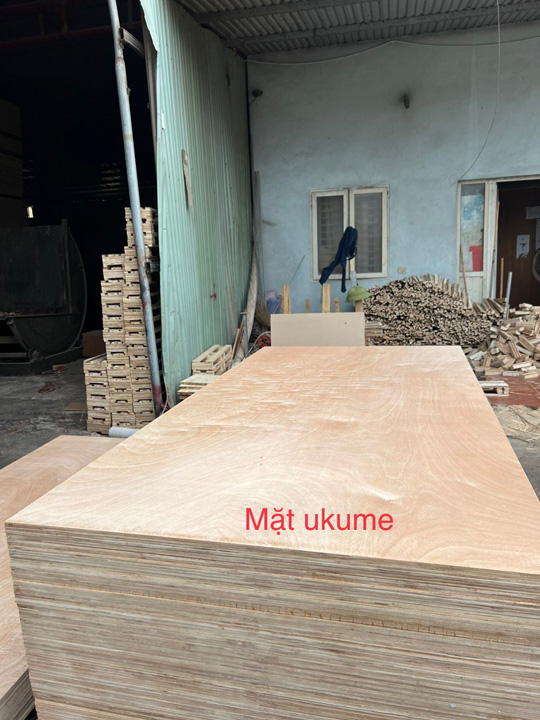 Ván ép mặt Ukume - Ván ép Hoàng Châu - Công Ty Cổ Phần Hoàng Châu Plywood International