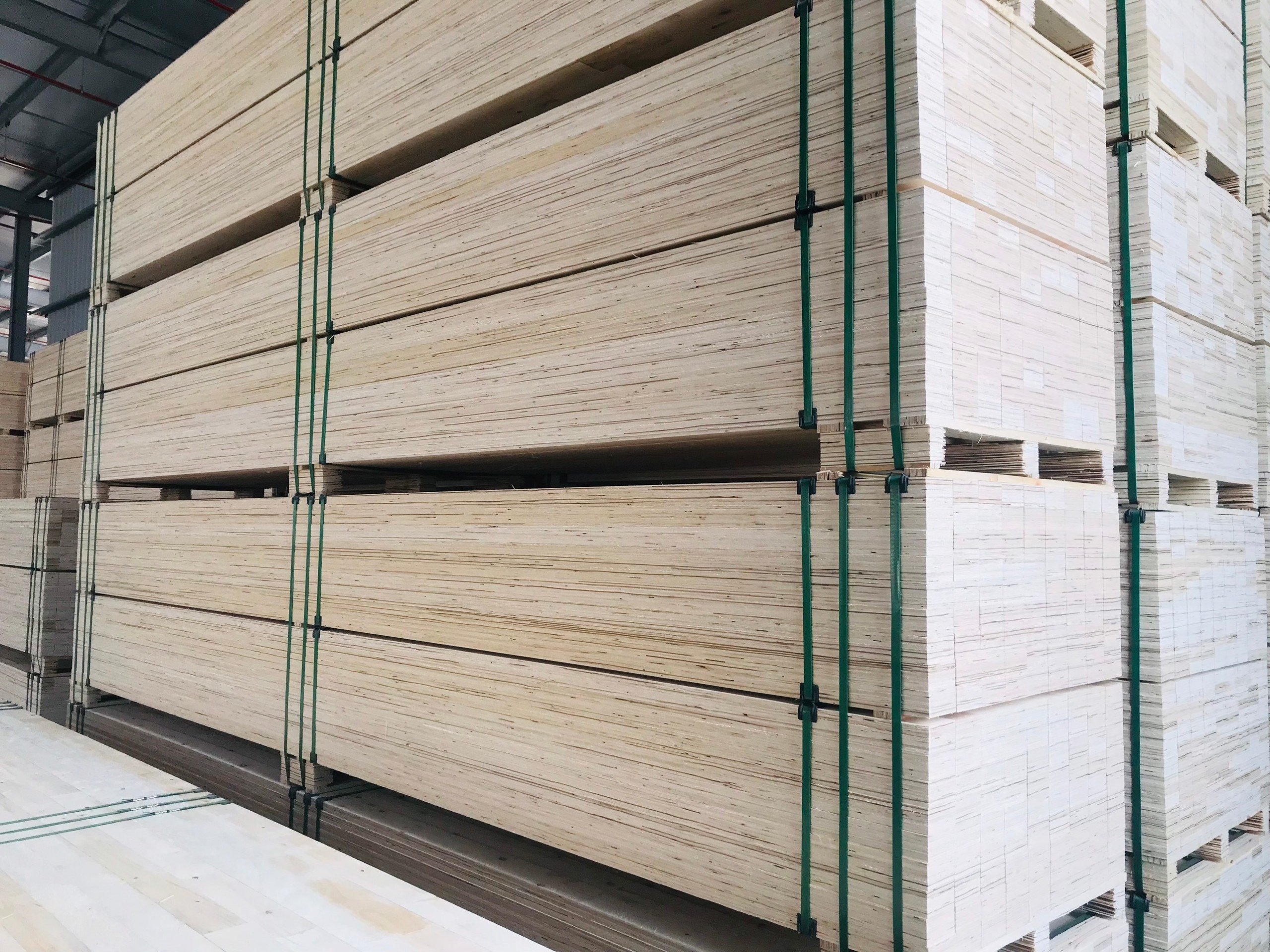 Đóng hàng - Công Ty Cổ Phần Đầu Tư Wood Alliance