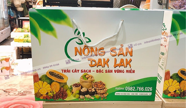 In túi giấy vừa đựng hoa quả 3 - 5kg - Xưởng In Và Sản Xuất Bao Bì Hồ Gia