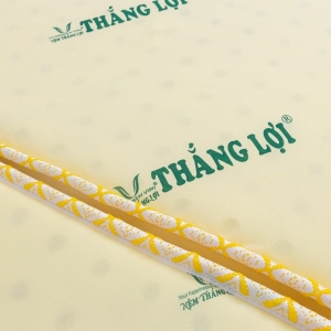 Nệm cao su non Thắng Lợi