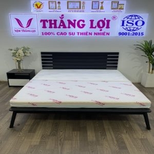 Nệm foam massge Thắng Lợi
