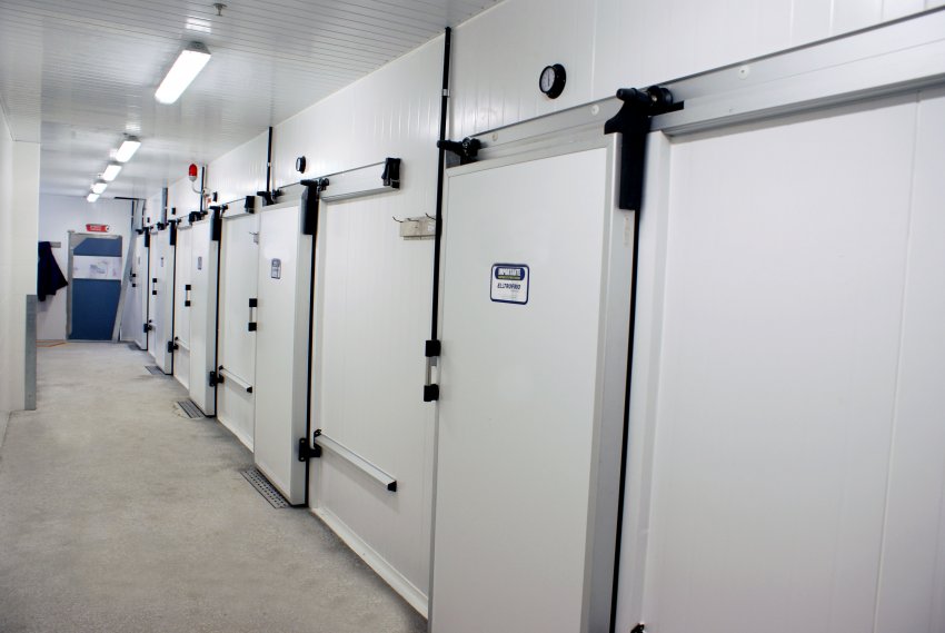 Xây dựng kho lạnh công nghiệp - Thi Công Phòng Sạch Đạt Chuẩn GMP Trọn Gói  - Công Ty Cổ Phần Euro Clean Room