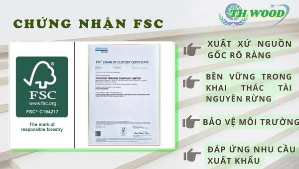 FSC - Ván ép TH  -  Công Ty Trách Nhiệm Hữu Hạn Thương Mại Gỗ TH