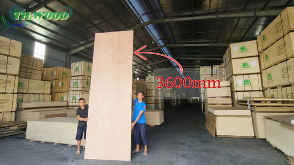 Ván ép quá khổ 3600mm - Ván ép TH  -  Công Ty Trách Nhiệm Hữu Hạn Thương Mại Gỗ TH