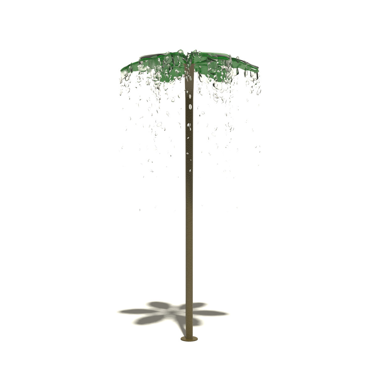 Cây cọ phun nước