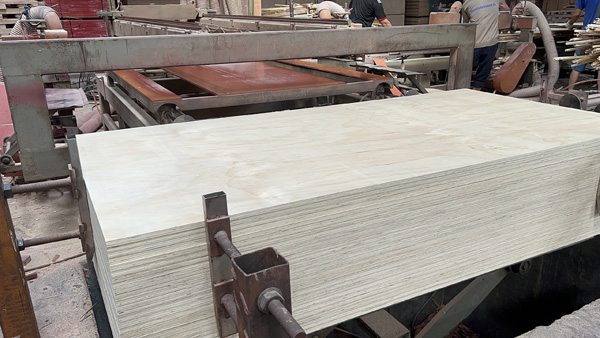 Ván ép gỗ thông - Công Ty TNHH Asian Wood