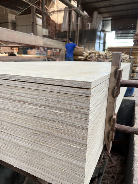 Ván ép gỗ thông - Công Ty TNHH Asian Wood