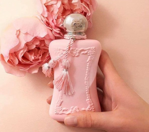 Tinh dầu nước hoa Delina Parfums sỉ theo lít, kg