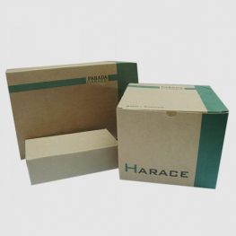 In hộp Carton nắp gài