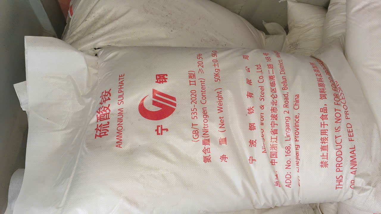 Phân bón Ammonium Sulphate (SA)
