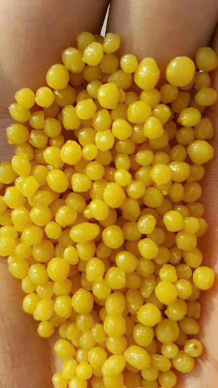 Phân bón Soil Conditioner (SC) - Phân Bón Mậu Hưng - Công Ty TNHH Xuất Nhập Khẩu Thương Mại Dịch Vụ Vận Tải Mậu Hưng