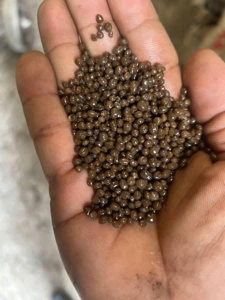 Phân bón Soil Conditioner (SC) - Phân Bón Mậu Hưng - Công Ty TNHH Xuất Nhập Khẩu Thương Mại Dịch Vụ Vận Tải Mậu Hưng