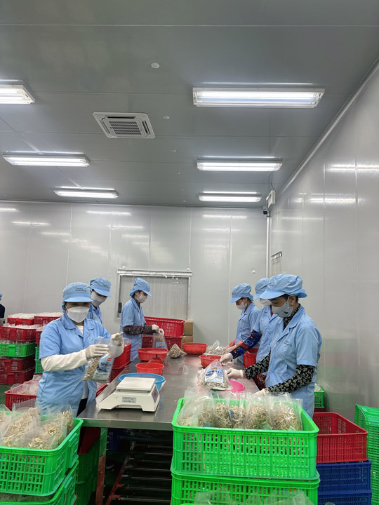 Hình ảnh nhà xưởng công ty Phượng Hồng Phát