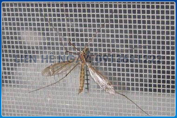 Lưới chống côn trùng