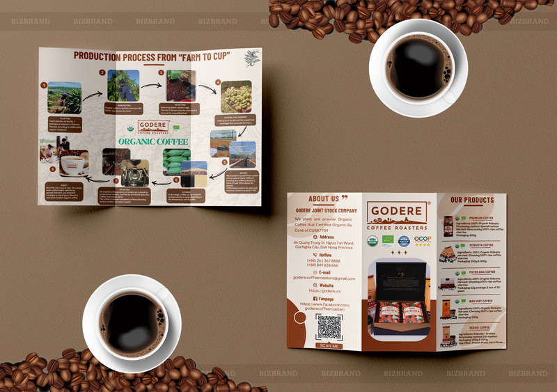 Thiết kế Brochure, Catalogue