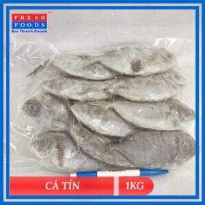 Cá tín - Cá liệt nguyên con - Thủy Hải Sản Sài Thành Foods - Công Ty TNHH Southern Fresh Foods