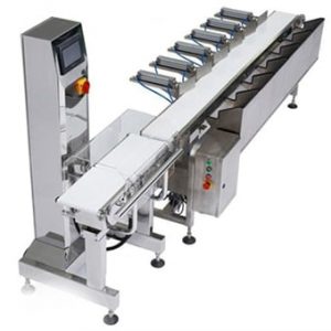 Cân băng tải phân loại sản phẩm tự động |Cân Tín Lộc Phát - Cân Điện Tử Tín Lộc Phát - Công Ty TNHH Thương Mại Và Dịch Vụ Cân Điện Tử Tín Lộc Phát
