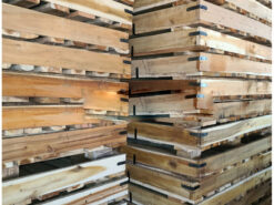 Pallet gỗ mới - Pallet Gỗ Thiên Phú Lâm - Công Ty TNHH Sản Xuất Thương Mại Thiên Phú Lâm