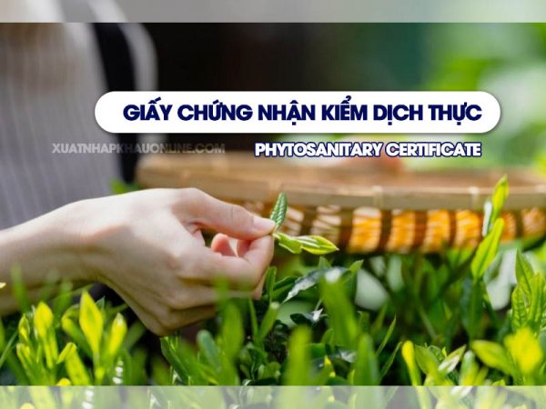 Dịch vụ giấy chứng nhận kiểm dịnh thực vật