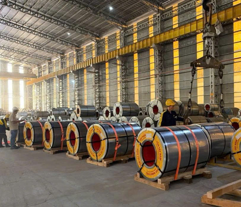 Lashing Steel Coil - cuộn tôn, cuộn thép