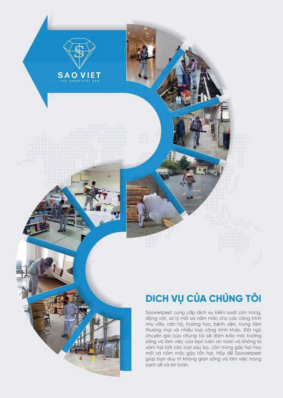 Dịch vụ cung cấp - Công Ty TNHH Kiểm Soát Côn Trùng Sao Việt