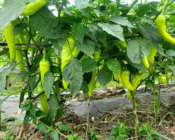 Hình ảnh công ty