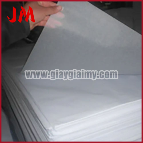 Giấy bóng mờ