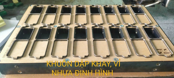 Khuôn dập khay vỉ nhựa định hình