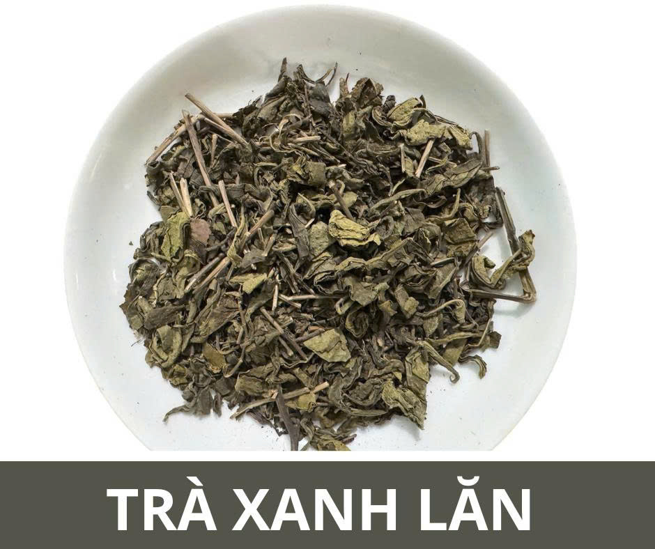 Trà xanh lăn - Trà Thiên Sơn  - Công Ty TNHH Trà Thiên Sơn