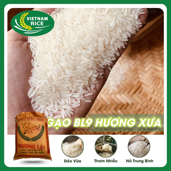 Gạo Hương Lài - Gạo Biên Hòa - Công Ty TNHH Thương Mại Dịch Vụ Nhi Luyến