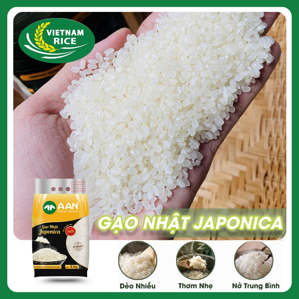 Gạo Nhật - Gạo Biên Hòa - Công Ty TNHH Thương Mại Dịch Vụ Nhi Luyến