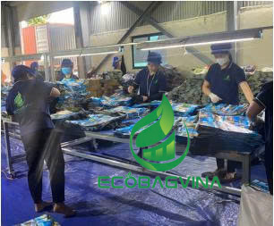 Công ty Ecobag Vina - Túi Ecobag Vina - Công Ty Cổ Phần Ecobag Vina