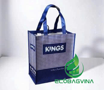 Túi RPET Spunbond - Túi Ecobag Vina - Công Ty Cổ Phần Ecobag Vina