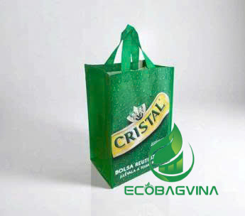 Túi RPET dạng viền - Túi Ecobag Vina - Công Ty Cổ Phần Ecobag Vina