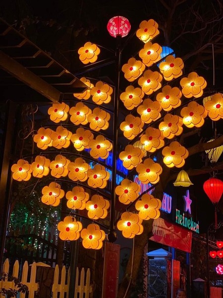 Đèn lồng hoa mai
