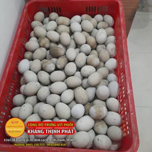Trứng bắc thảo - Trứng Muối Khang Thịnh Phát - Công Ty TNHH Sản Xuất Thương Mại Thực Phẩm Khang Thịnh Phát