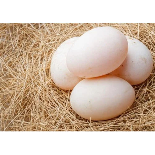 Trứng vịt tươi - Trứng Muối Khang Thịnh Phát - Công Ty TNHH Sản Xuất Thương Mại Thực Phẩm Khang Thịnh Phát