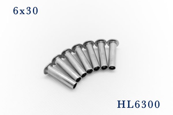 Rive lỗ sắt 6x30