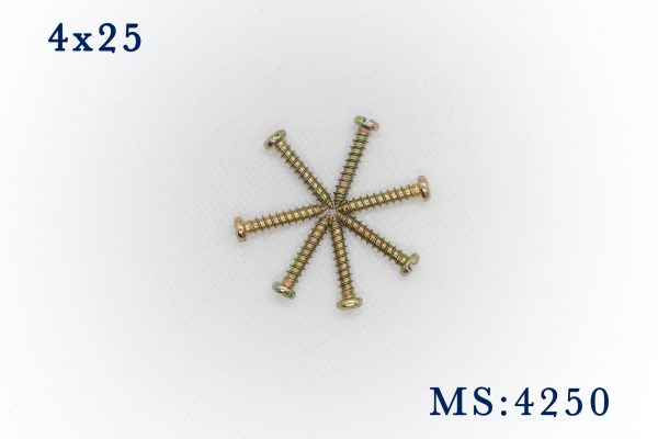 Vít ren bê tông 4x25