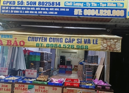 Hình ảnh hoạt động cơ sở trứng gia cầm Gia Bảo