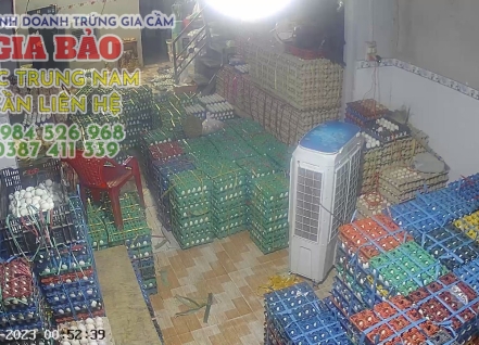 Hình ảnh hoạt động cơ sở trứng gia cầm Gia Bảo