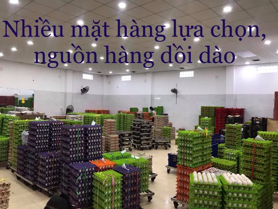 Hình ảnh công ty - Trứng Thanh Nhân - Cơ Sở Trứng Thanh Nhân