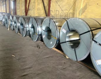 Hình ảnh hoạt động công ty Nhân Trí