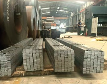 Hình ảnh hoạt động công ty Nhân Trí