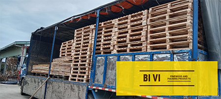 Hình ảnh xuất khẩu - Pallet Gỗ BI VI - Công Ty TNHH BI VI