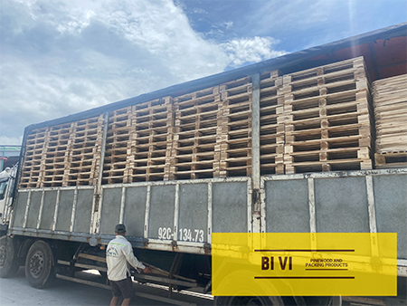 Hình ảnh xuất khẩu - Pallet Gỗ BI VI - Công Ty TNHH BI VI