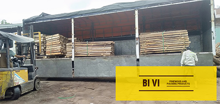 Hình ảnh xuất khẩu - Pallet Gỗ BI VI - Công Ty TNHH BI VI