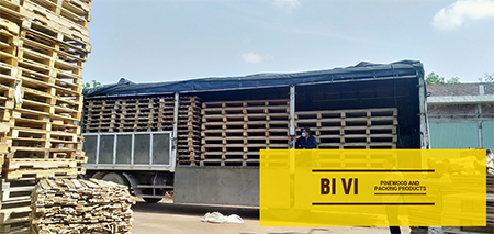 Hình ảnh xuất khẩu - Pallet Gỗ BI VI - Công Ty TNHH BI VI